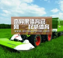 关于奇异果体育官网