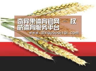奇异果体育官网 - 权威体育服务平台
