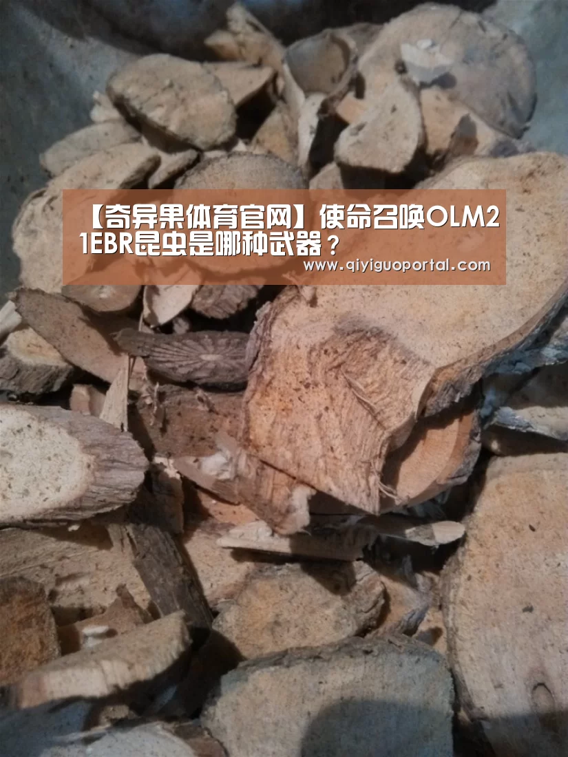 【奇异果体育官网】使命召唤OLM21EBR昆虫是哪种武器?(图2) 奇异果体育官网app