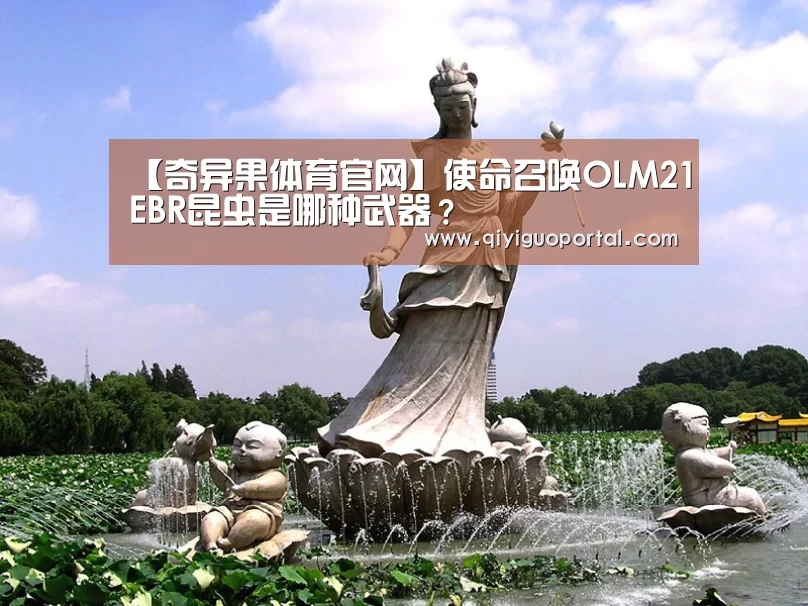 【奇异果体育官网】使命召唤OLM21EBR昆虫是哪种武器?(图1) 奇异果体育app