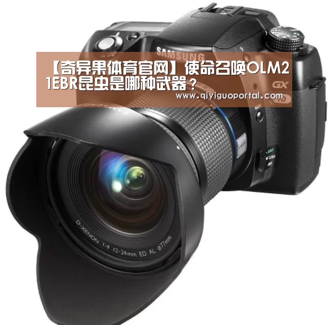 【奇异果体育官网】使命召唤OLM21EBR昆虫是哪种武器?(图3) 奇异果体育app