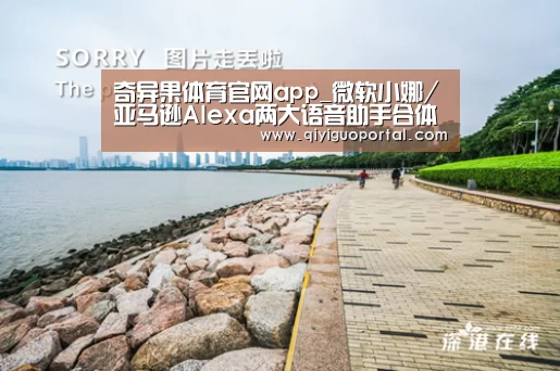 奇异果体育官网app_微软小娜/亚马逊Alexa两大语音助手合体(图2) 奇异果体育官网app