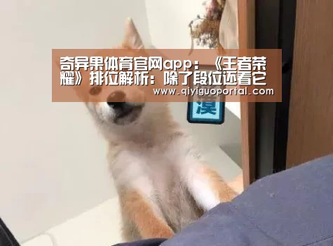 奇异果体育官网app:《王者荣耀》排位解析:除了段位还看它(图1) 奇异果体育官网app