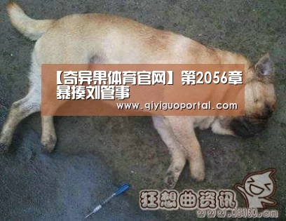 奇异果体育官网app