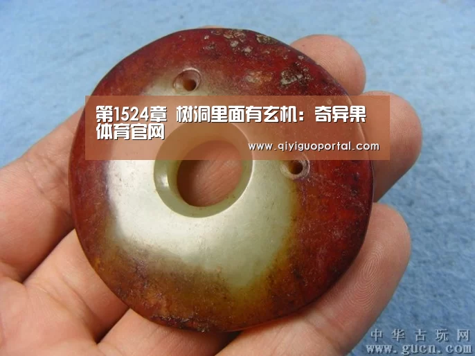 第1524章 树洞里面有玄机:奇异果体育官网(图2) 奇异果体育官网